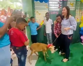 10250367240216671432 e1719354248898