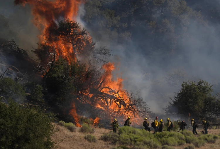 240615 california post fire cc 0133a afb01a