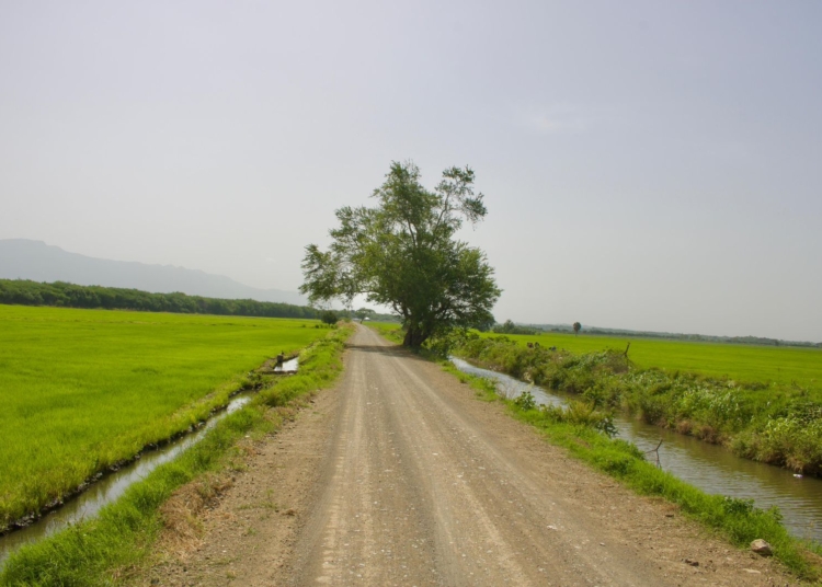 Entrega caminos vecinales valverde2