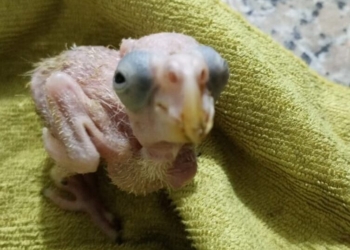 IMG 20240619 WA0013 e1719010231985