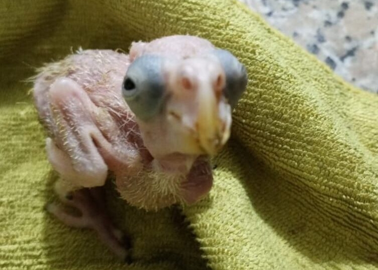 IMG 20240619 WA0013 e1719010231985