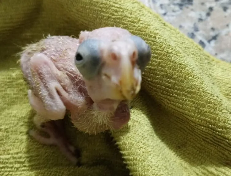 IMG 20240619 WA0013 e1719010231985