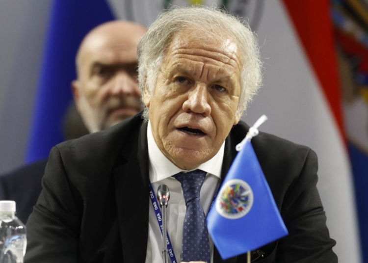Luis Almagro 1140x694 1