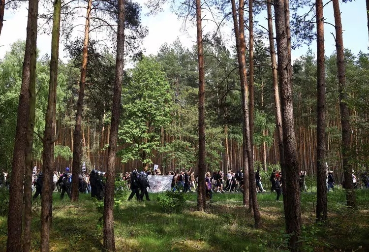 Plantaciones de tesla
