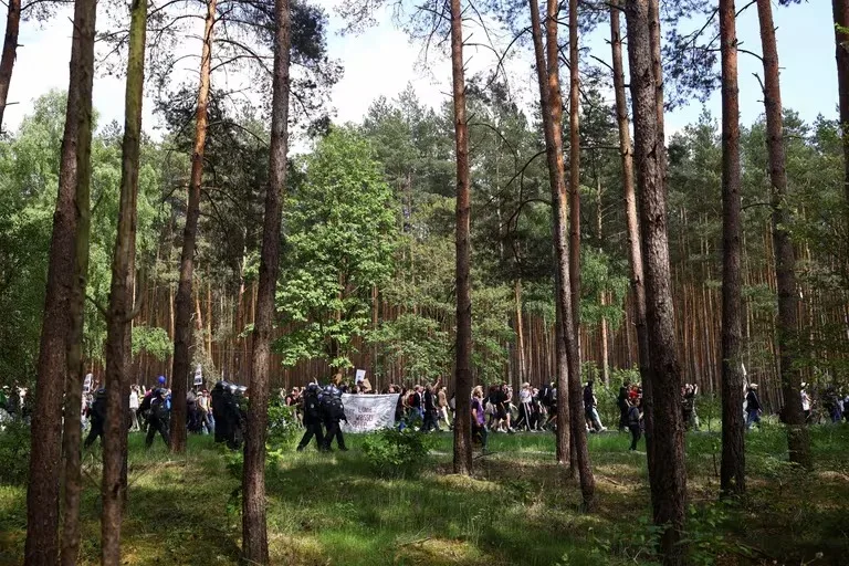 Plantaciones de Tesla