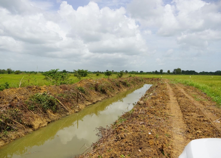 Whatsapp image 2024 06 20 at 5. 49. 56 pm