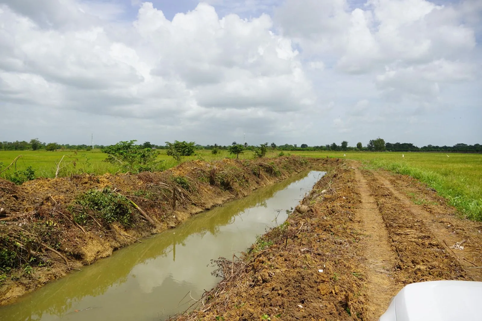 Whatsapp image 2024 06 20 at 5. 49. 56 pm