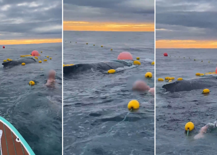 668bf09d59bf5b14d61fba9e