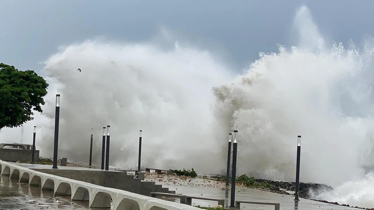 Whatsapp image 2024 07 02 at 16. 48. 11 b04c279a