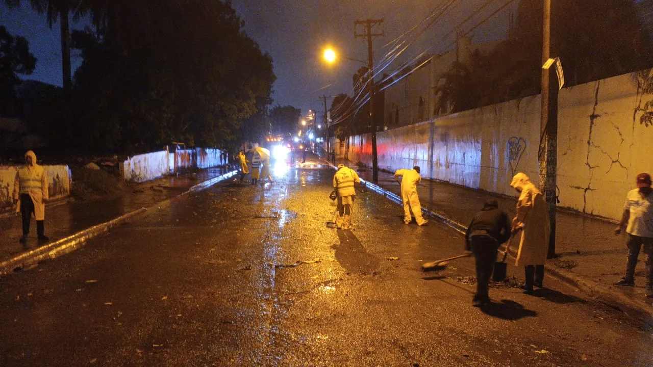 WhatsApp Image 2024 07 05 at 11.15.50 AM