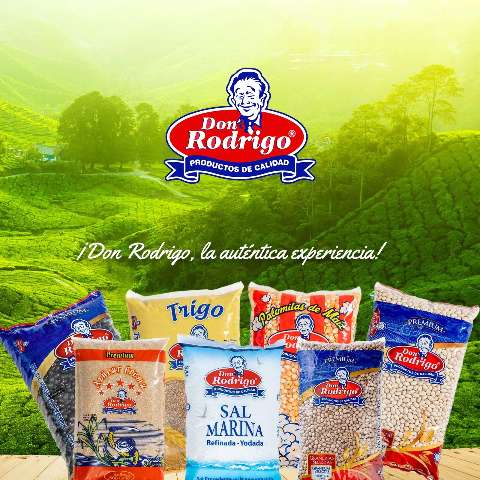 Whatsapp image 2024 07 19 at 4. 19. 28 pm