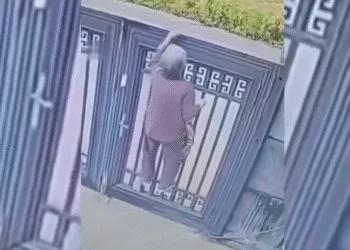 Abuela china