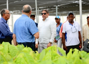 Cacao en el este1 scaled