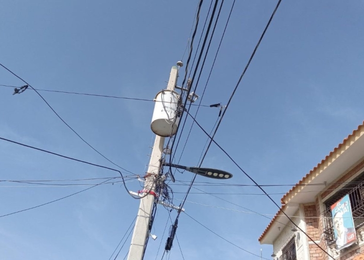 Img 3576 1