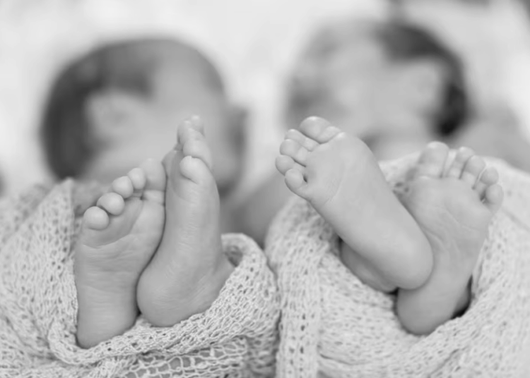 Mellisos recien nacidos