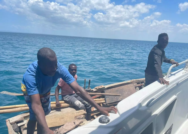 Apresados por la armada