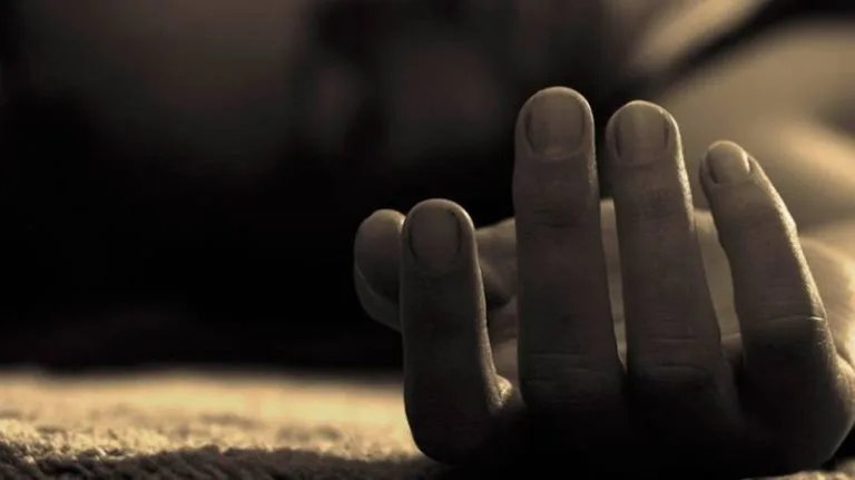 FA5C253B 40E7 4B81 891D 36D3AF5155DA