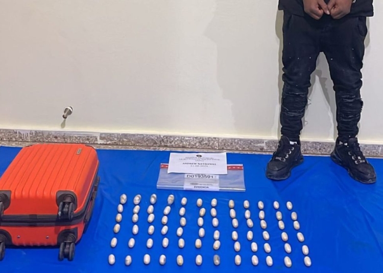 Iba a Francia con el estomago lleno de cocaina 1140x694 1