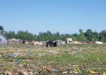 Whatsapp image 2024 08 11 at 1. 16. 00 pm