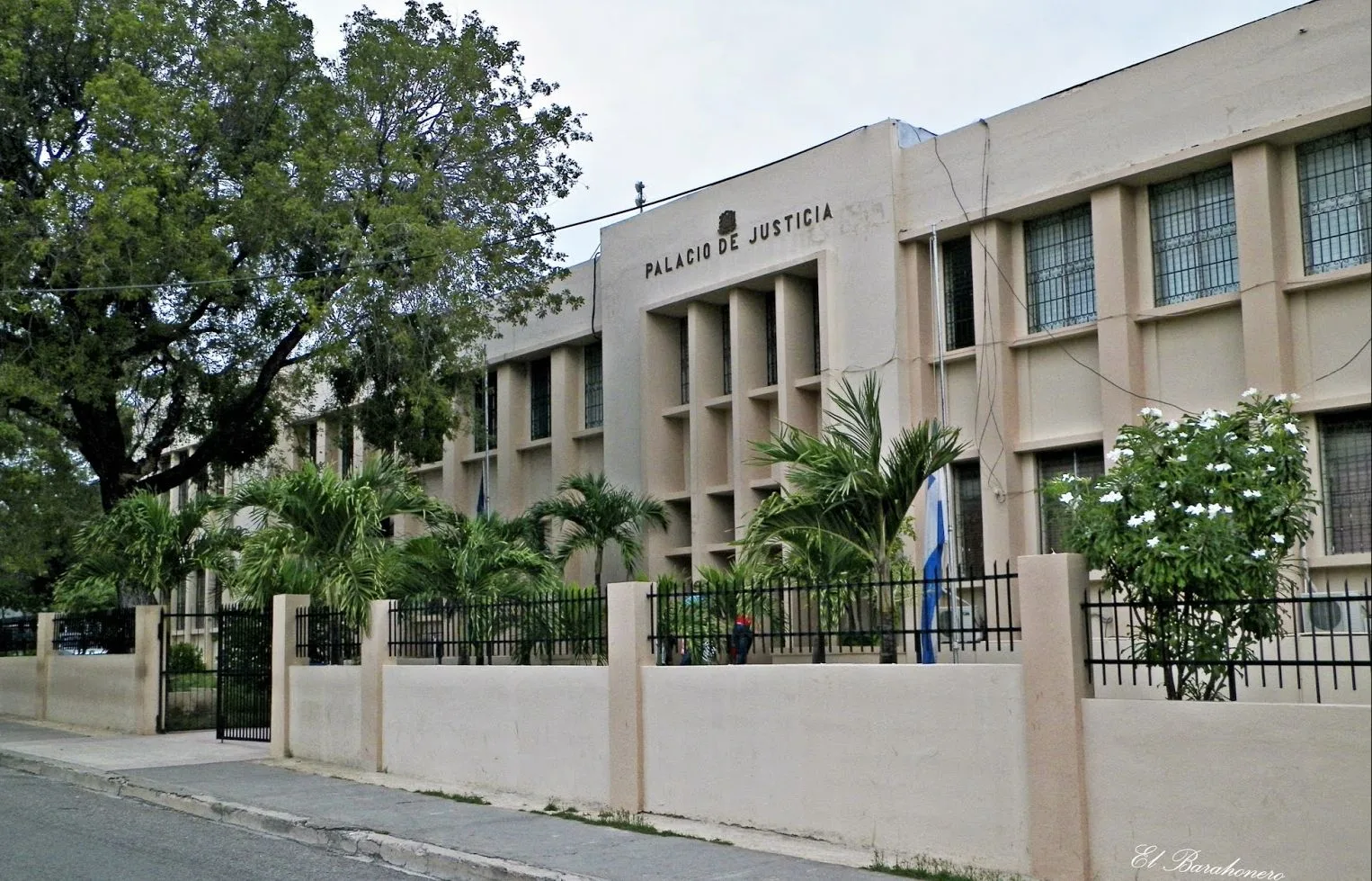 Whatsapp image 2024 08 15 at 8. 27. 15 am