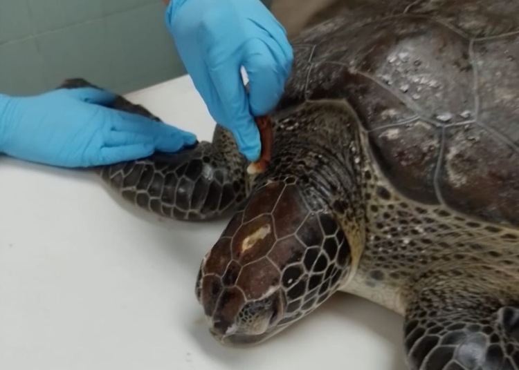 Whatsapp image 2024 08 24 at 5. 43. 22 pm 1