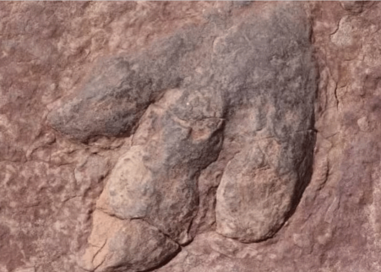 huellas dinosaurios
