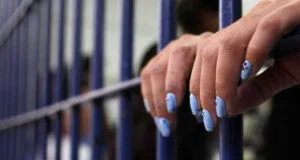 06EC8250 13B0 42ED B749 5E4F6D7D658E jpeg