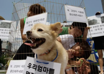 13ab3903 4c63 4482 984b f05a3198e611 facebook aspect ratio default 0 jpg