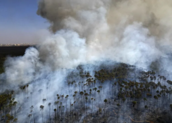 66e1b5a1bea47 1 jpeg