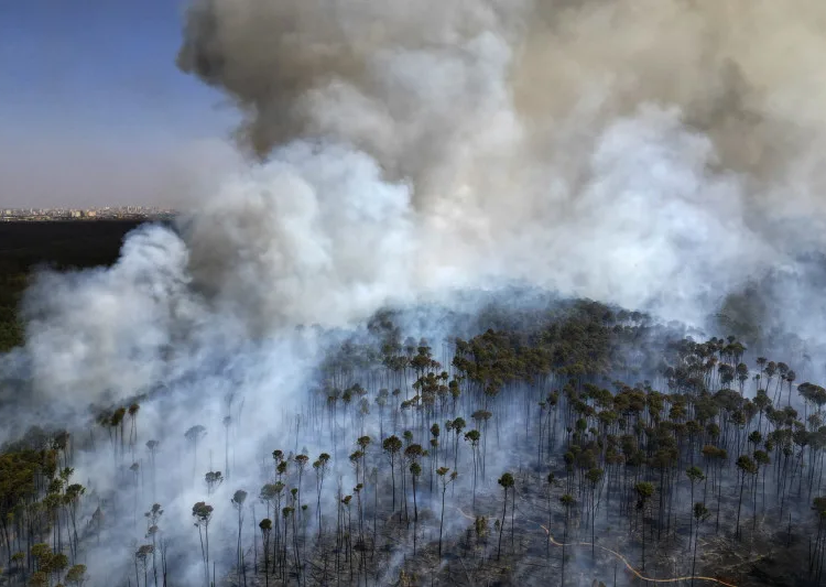 66e1b5a1bea47 1 jpeg