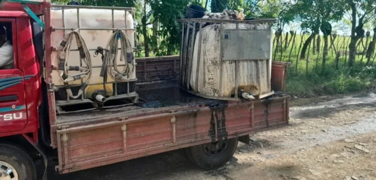 7a7d8cb0 175f 4d94 9b24 7ff741834fea jpeg