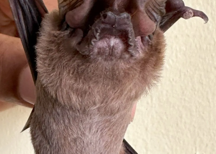 8c20682f d0ce 4dbc 8ae3 fd9793029250 jpeg