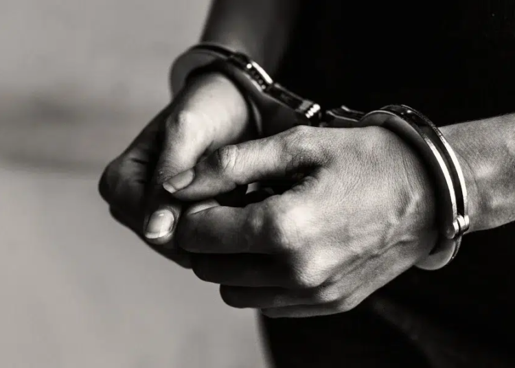 981f2eb3 1982 4252 ad41 899b346de7bf