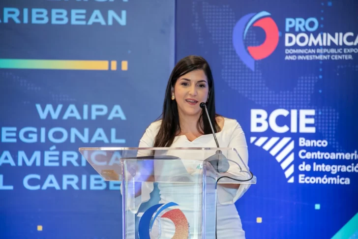 Biviana riveiro disla directora ejecutiva de prodominicana 728x486 1