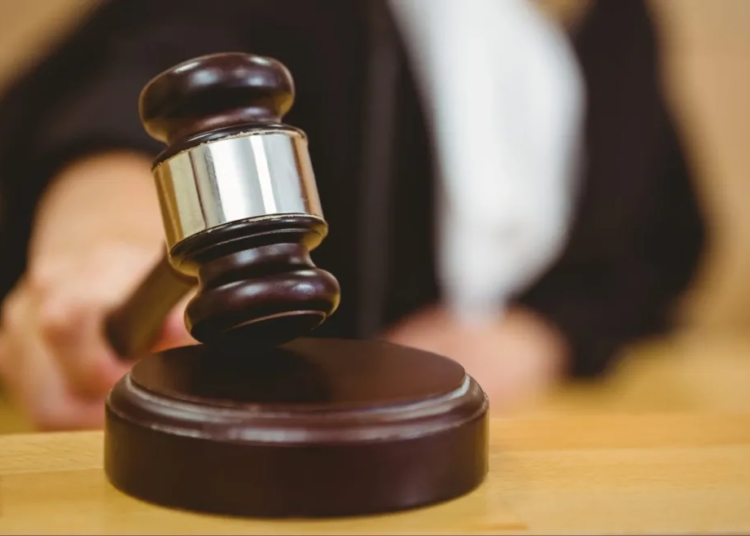 F6c57b17 f448 47c7 8b9f f74299ca2c40 jpeg