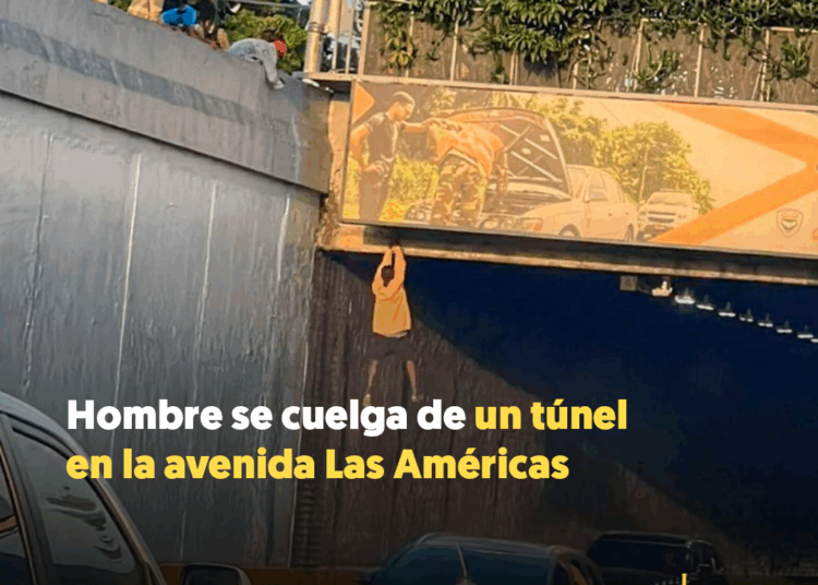 PLANTILLA ATARDECER REDES