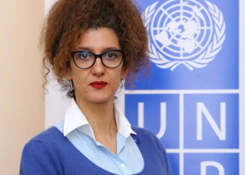 Sanja slika UNDP png