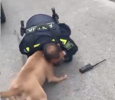 Screenshot 2024 09 15 113447