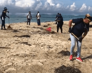 Screenshot 2024 09 21 114849