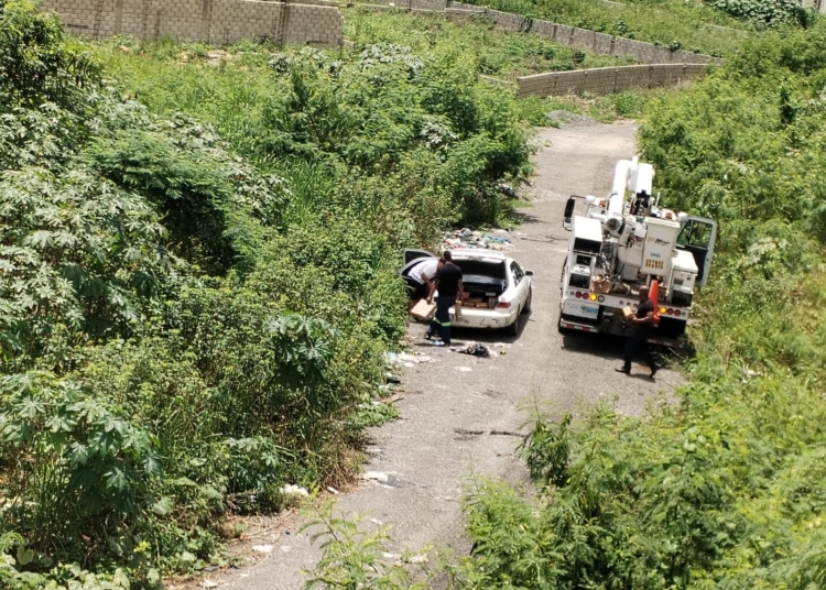 Whatsapp image 2024 09 13 at 8. 56. 15 am