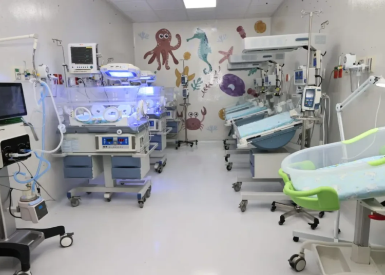 Whatsapp image 2024 09 20 at 9. 40. 03 am 1 jpeg