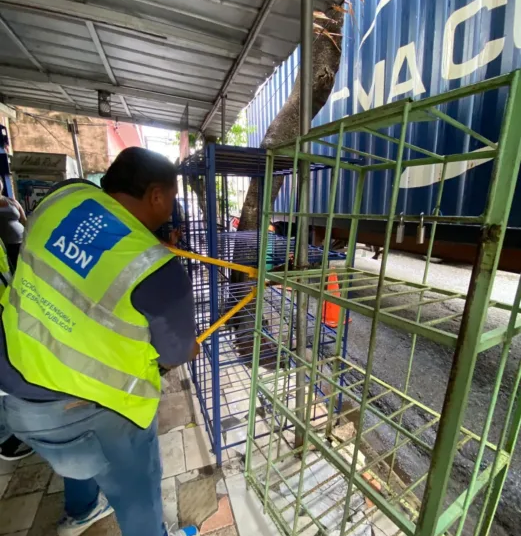 WhatsApp Image 2024 09 29 at 3.45.41 PM jpeg