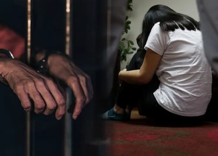 2ca21175 99b7 436c afa2 db9461fca5ed png