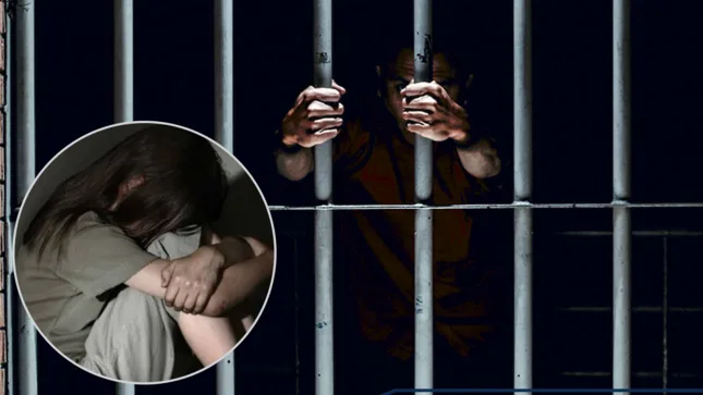 4e521341 04e8 43b3 a84f 72a03870a0fe png