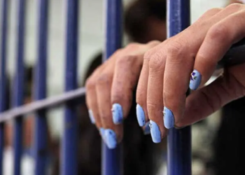 A67bedd2 6592 488c 8fbd 88043221950e