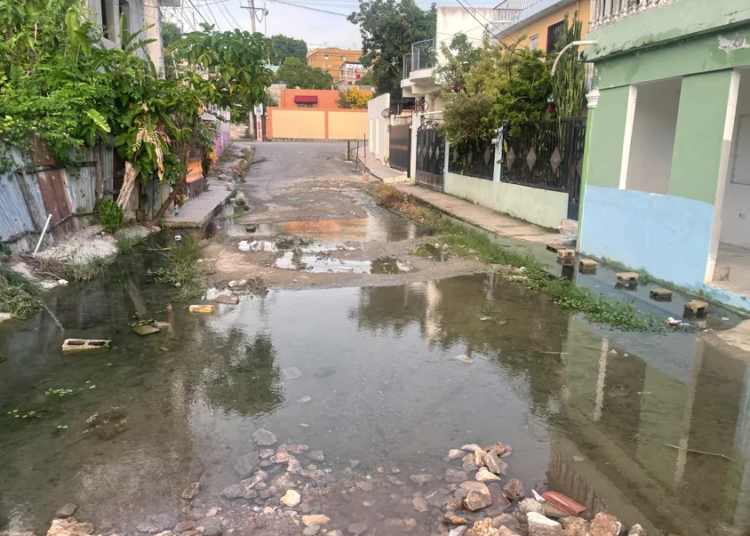 Calle 6 es el 2 png
