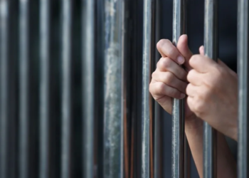 Dbbb994e 7442 4d25 aa9a 0028d76a90e7 jpeg