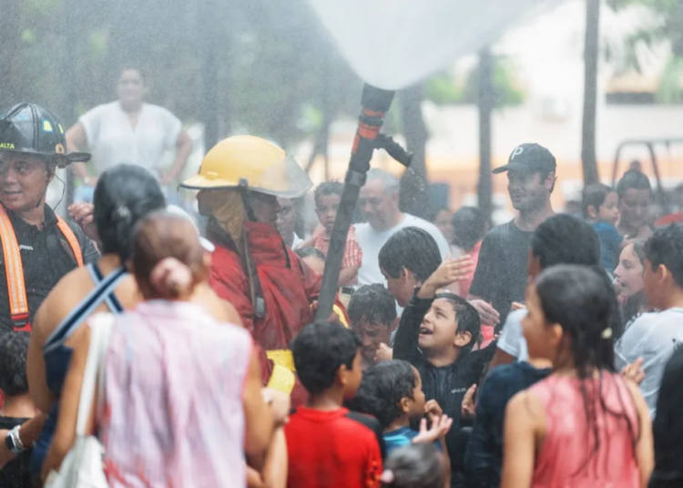 Whatsapp image 2024 10 01 at 2. 37. 14 pm 2 jpeg