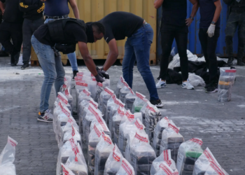 Whatsapp image 2024 10 09 at 12. 01. 32 pm 1 scaled