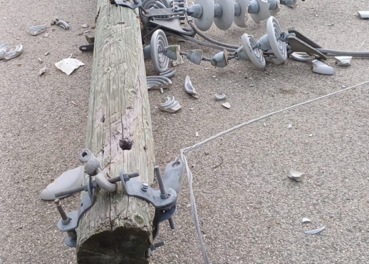 Whatsapp image 2024 10 14 at 9. 17. 28 pm